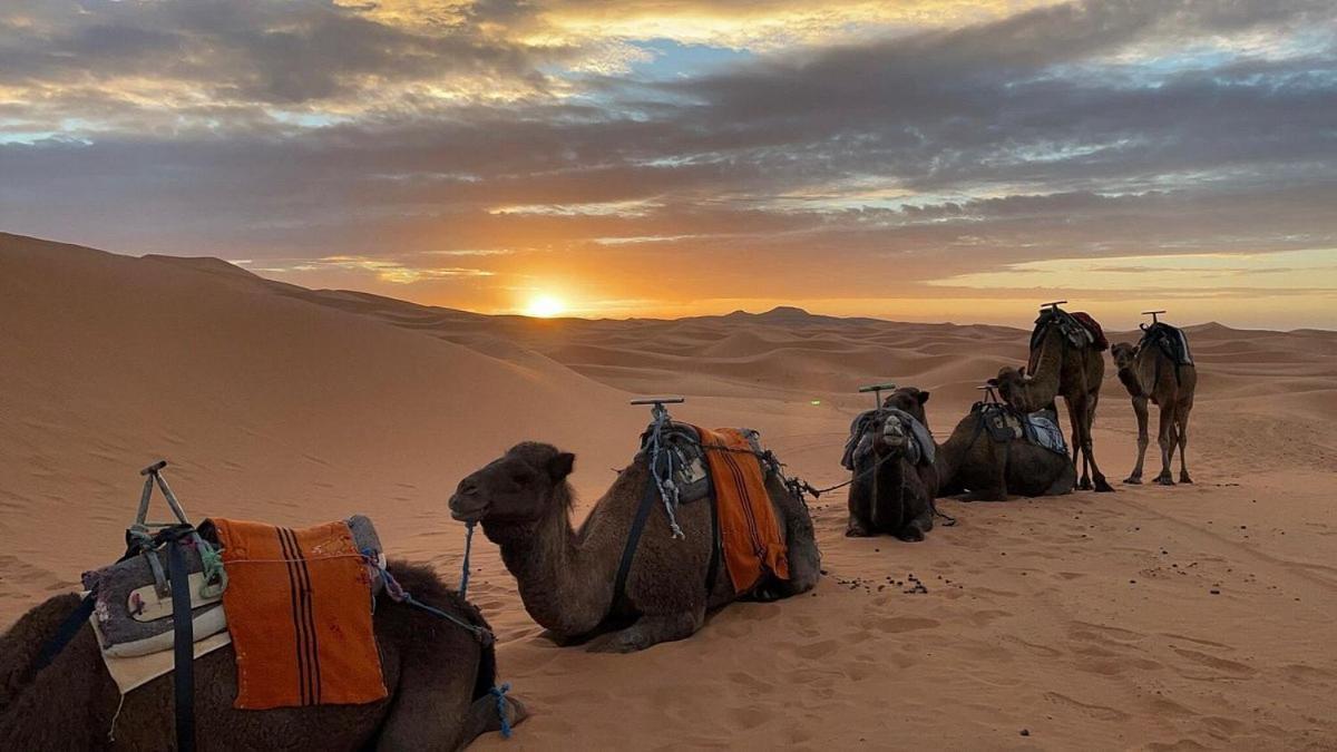 Chegaga Desert Trips M'Hamid Esterno foto
